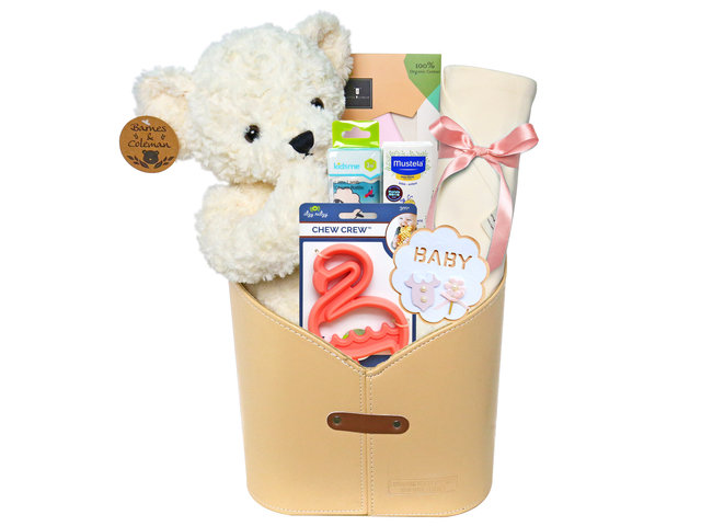 New Born Baby Gift - New Born Baby Girl Toy & Tool Gift Hamper NB19P - BY0310A3P Photo