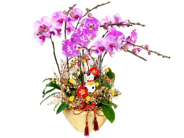 Orchids - Flower Arrangement with Balloon 1202A1 - FOB1202A1 Photo